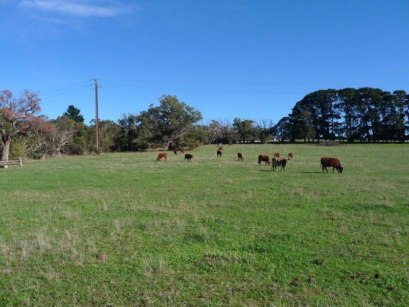 Section 306 Victor Harbor Road, Mount Jagged SA 5211