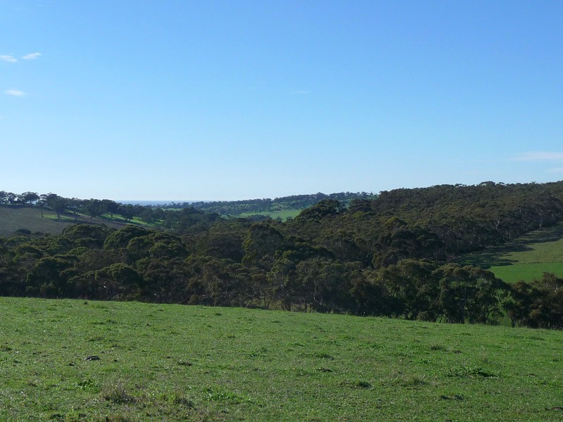 Section 306 Victor Harbor Road, Mount Jagged SA 5211