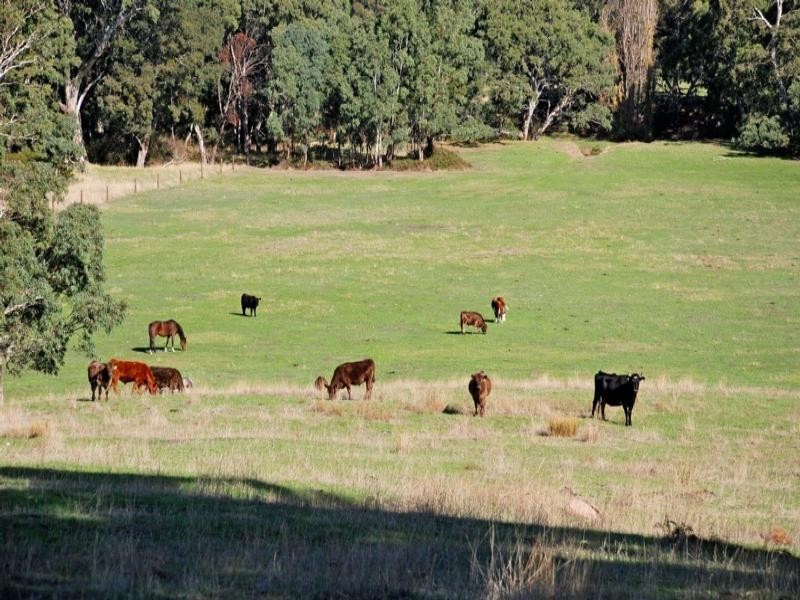 Lot 138 Inman Valley Road, Inman Valley SA 5211