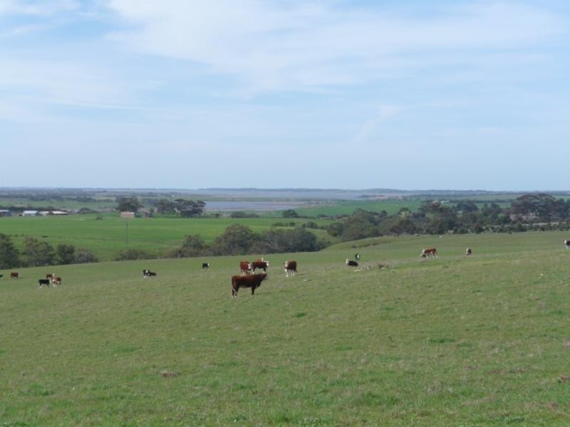 Kooroora – Goolwa-Mount Compass Road, Currency Creek SA 5214
