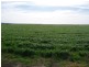 Kooroora – Goolwa-Mount Compass Road, Currency Creek SA 5214