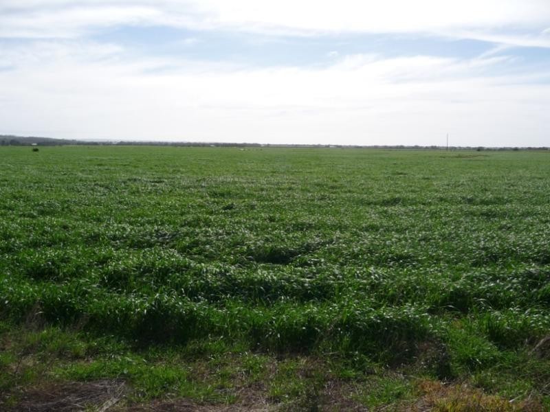 Kooroora – Goolwa-Mount Compass Road, Currency Creek SA 5214