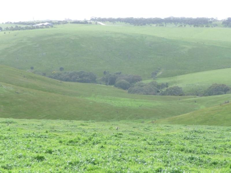 Kooroora – Goolwa-Mount Compass Road, Currency Creek SA 5214