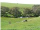 Kooroora – Goolwa-Mount Compass Road, Currency Creek SA 5214