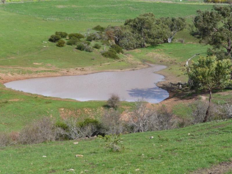 Kooroora – Goolwa-Mount Compass Road, Currency Creek SA 5214
