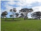 Lot 25 Old Telegraph Road, Port Elliot SA 5212