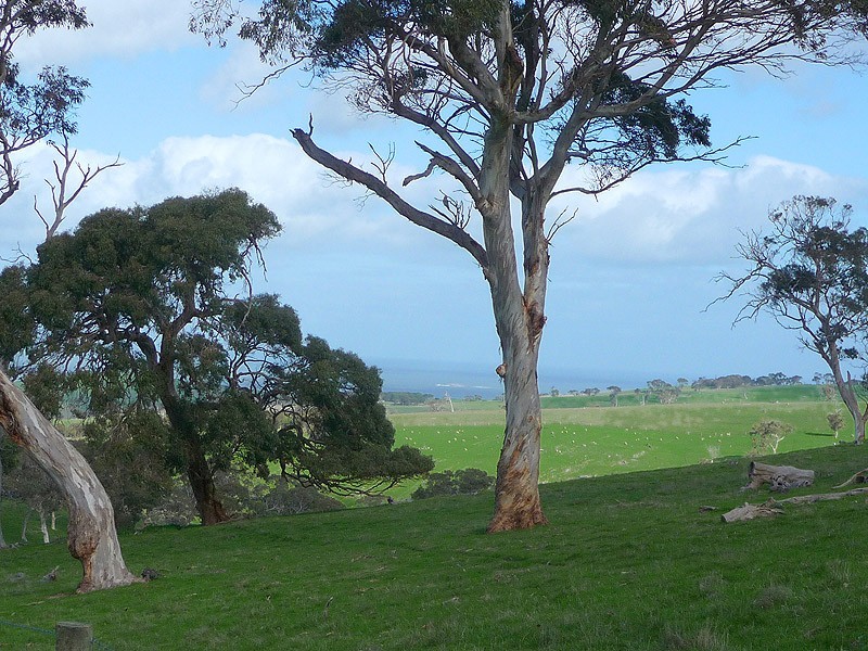 Lot 25 Old Telegraph Road, Port Elliot SA 5212