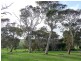 Lot 25 Old Telegraph Road, Port Elliot SA 5212