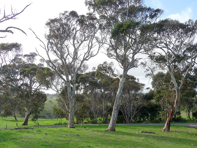 Lot 25 Old Telegraph Road, Port Elliot SA 5212