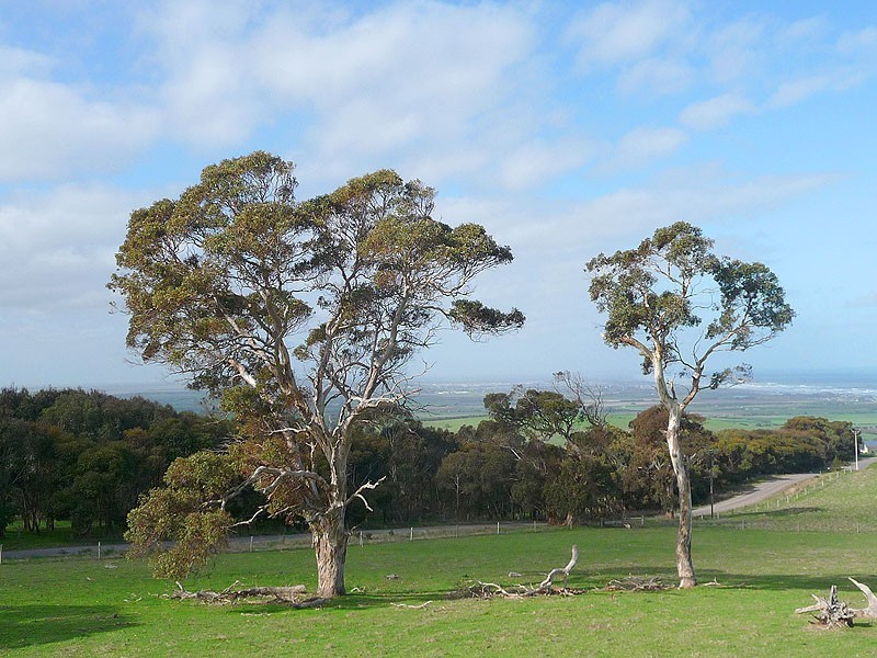 Lot 25 Old Telegraph Road, Port Elliot SA 5212