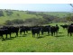 Sec 286 Waitpinga Road, Willow Creek SA 5211