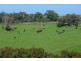 Sec 286 Waitpinga Road, Willow Creek SA 5211