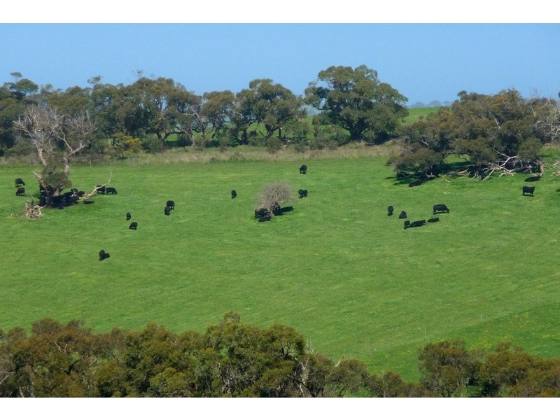 Sec 286 Waitpinga Road, Willow Creek SA 5211