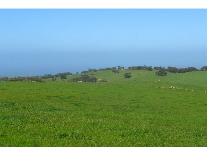 Sec 286 Waitpinga Road, Willow Creek SA 5211