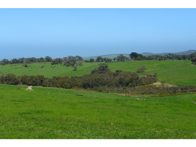 Sec 286 Waitpinga Road, Willow Creek SA 5211