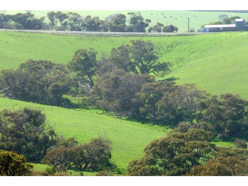 Sec 286 Waitpinga Road, Willow Creek SA 5211