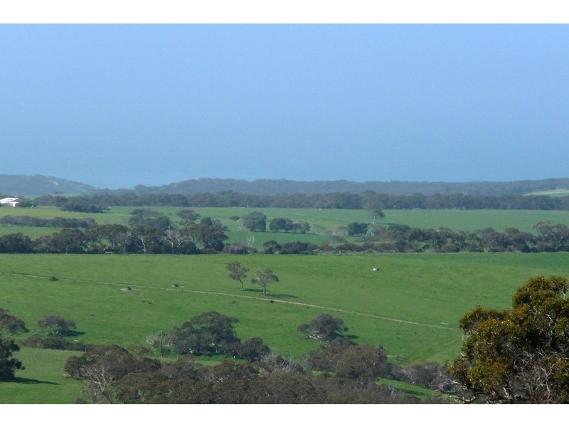 Sec 286 Waitpinga Road, Willow Creek SA 5211