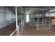 “Wonoka Downs” Sunnydale Road, Ashbourne SA 5157