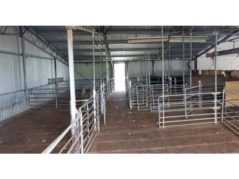 “Wonoka Downs” Sunnydale Road, Ashbourne SA 5157
