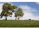 “Wonoka Downs” Sunnydale Road, Ashbourne SA 5157