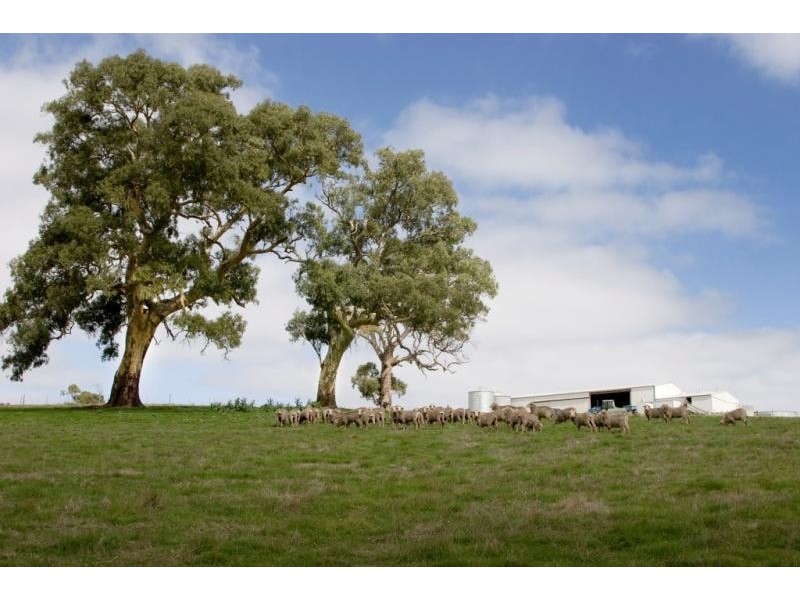 “Wonoka Downs” Sunnydale Road, Ashbourne SA 5157