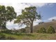 “Wonoka Downs” Sunnydale Road, Ashbourne SA 5157