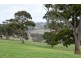 “Wonoka Downs” Sunnydale Road, Ashbourne SA 5157