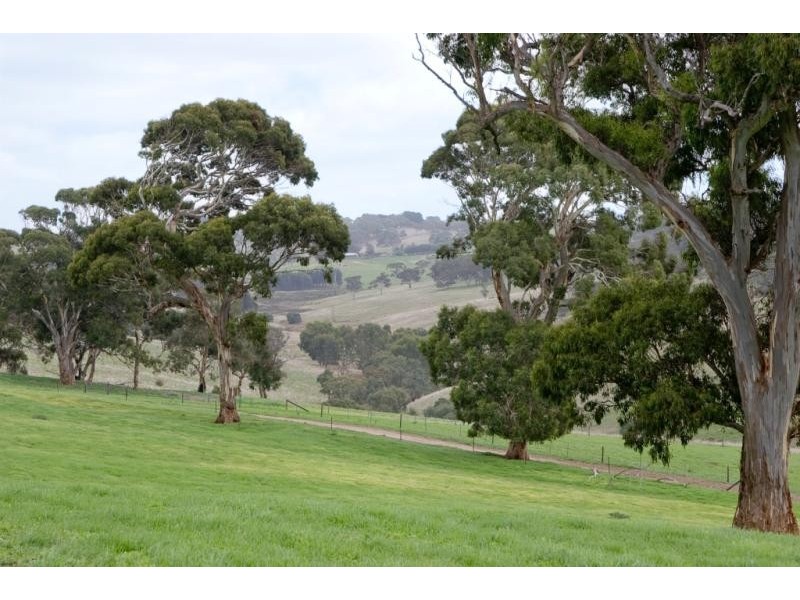 “Wonoka Downs” Sunnydale Road, Ashbourne SA 5157