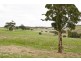 “Wonoka Downs” Sunnydale Road, Ashbourne SA 5157