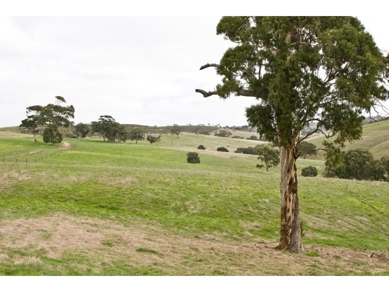 “Wonoka Downs” Sunnydale Road, Ashbourne SA 5157
