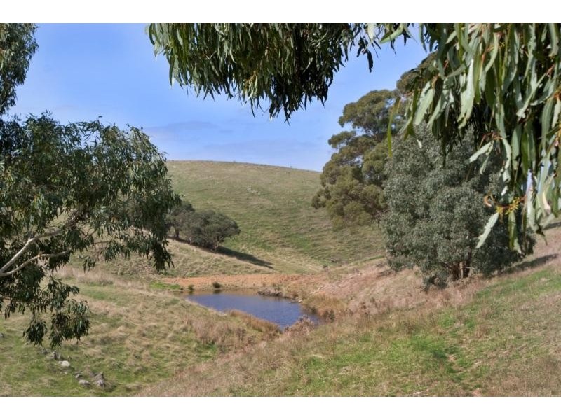 “Wonoka Downs” Sunnydale Road, Ashbourne SA 5157