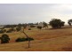 “Wonoka Downs” Sunnydale Road, Ashbourne SA 5157