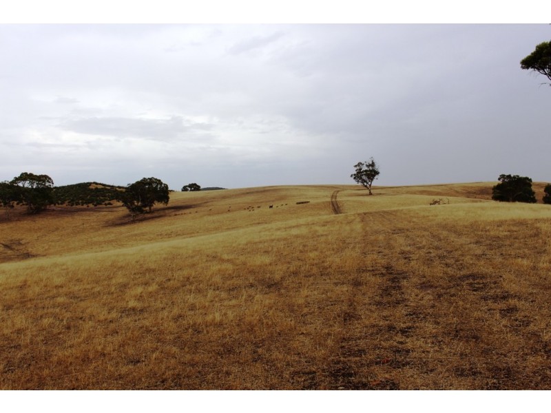 “Wonoka Downs” Sunnydale Road, Ashbourne SA 5157