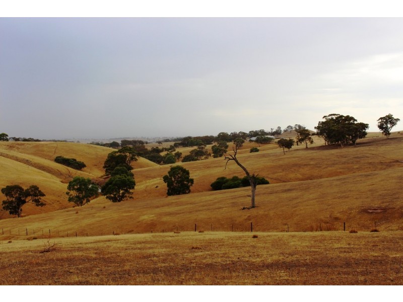 “Wonoka Downs” Sunnydale Road, Ashbourne SA 5157