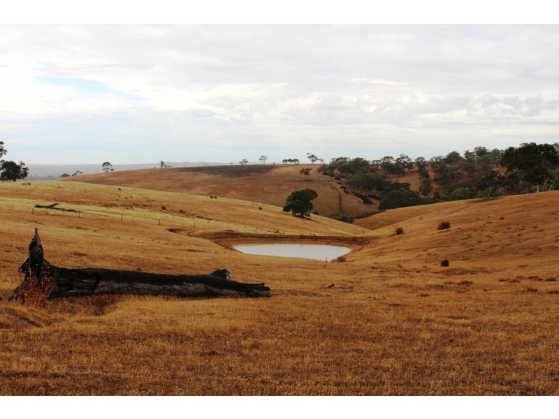 “Wonoka Downs” Sunnydale Road, Ashbourne SA 5157