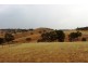 “Wonoka Downs” Sunnydale Road, Ashbourne SA 5157