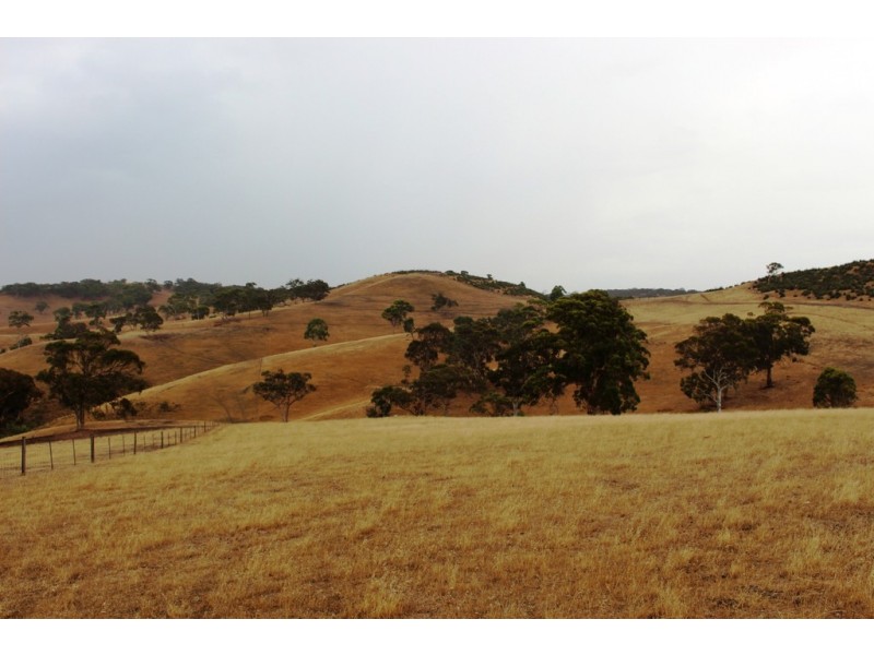 “Wonoka Downs” Sunnydale Road, Ashbourne SA 5157