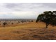 “Wonoka Downs” Sunnydale Road, Ashbourne SA 5157