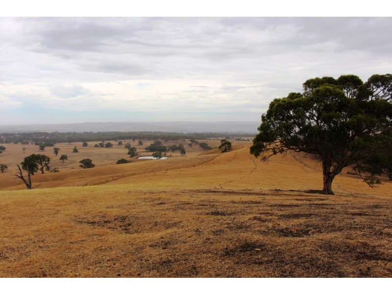 “Wonoka Downs” Sunnydale Road, Ashbourne SA 5157