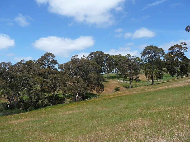 193 Hancock Road, Inman Valley SA 5211