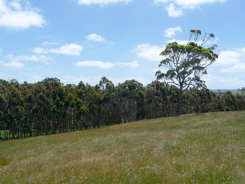 193 Hancock Road, Inman Valley SA 5211