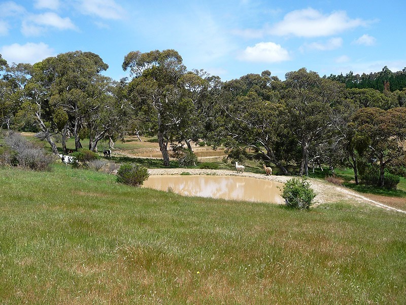 193 Hancock Road, Inman Valley SA 5211