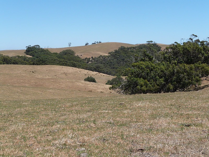 Lot 11 Hindmarsh Tiers Road, Myponga SA 5202