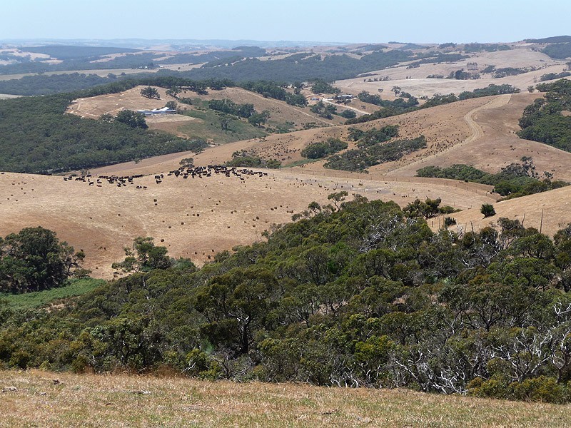 Lot 11 Hindmarsh Tiers Road, Myponga SA 5202