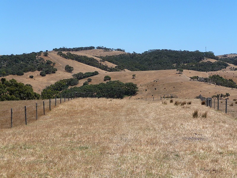 Lot 11 Hindmarsh Tiers Road, Myponga SA 5202