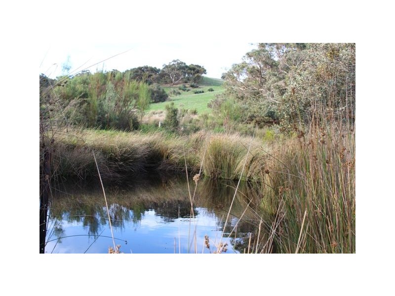 407 Bahloo Glen Road, Mount Compass SA 5210