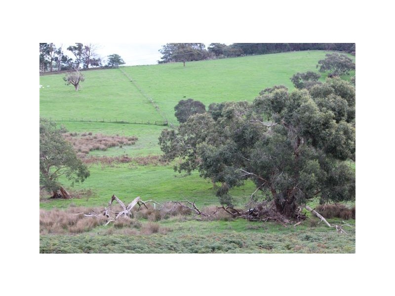 407 Bahloo Glen Road, Mount Compass SA 5210