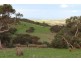 407 Bahloo Glen Road, Mount Compass SA 5210