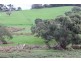 407 Bahloo Glen Road, Mount Compass SA 5210