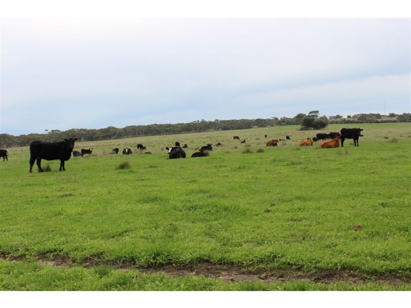 Lot 3 DePledge Road, Waitpinga SA 5211